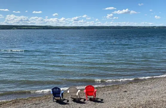 335c0d71 d59e 4b07 b7cd 9c49e006877f.jpg