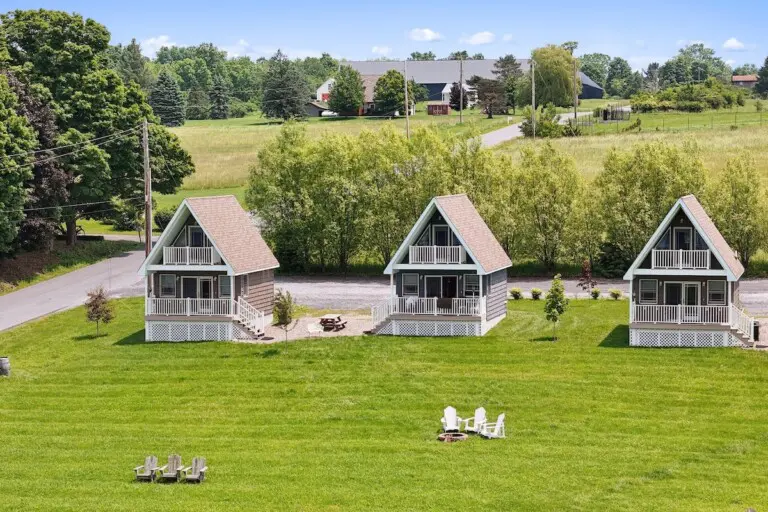 38e3580f a7df 4cc1 944c 8817a6f33869.jpeg