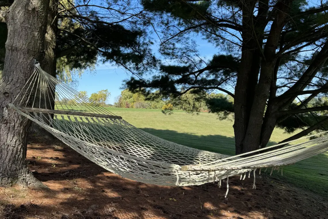 3c2a132d 3eed 433c a009 f097042a7625