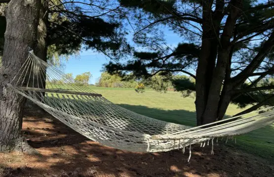 3c2a132d 3eed 433c a009 f097042a7625