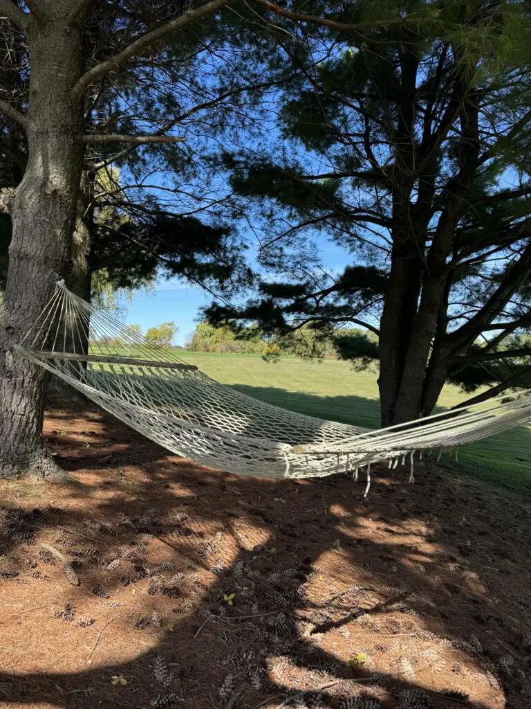 3c2a132d 3eed 433c a009 f097042a7625