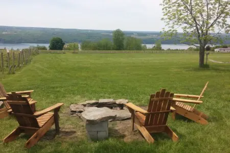 40628697 original.jpg