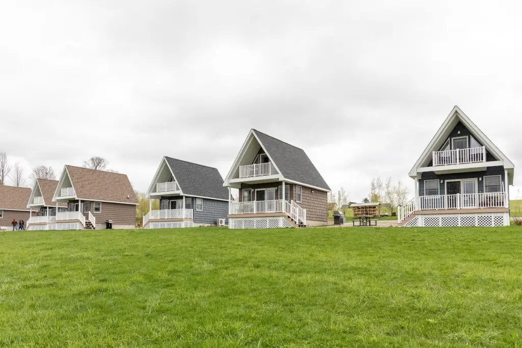 42509c64 bfdd 4880 b6bf fa4db8348d8f.jpeg