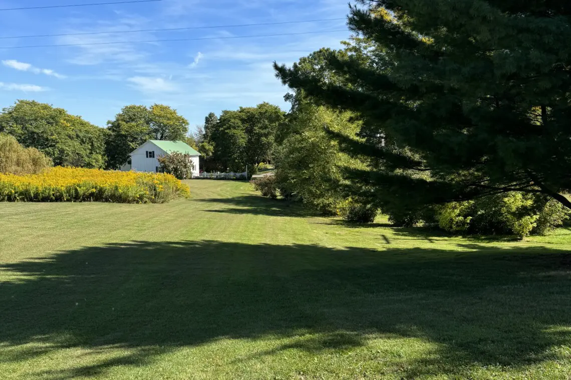 a52c53e8 977e 4623 927c e4023230a3b8