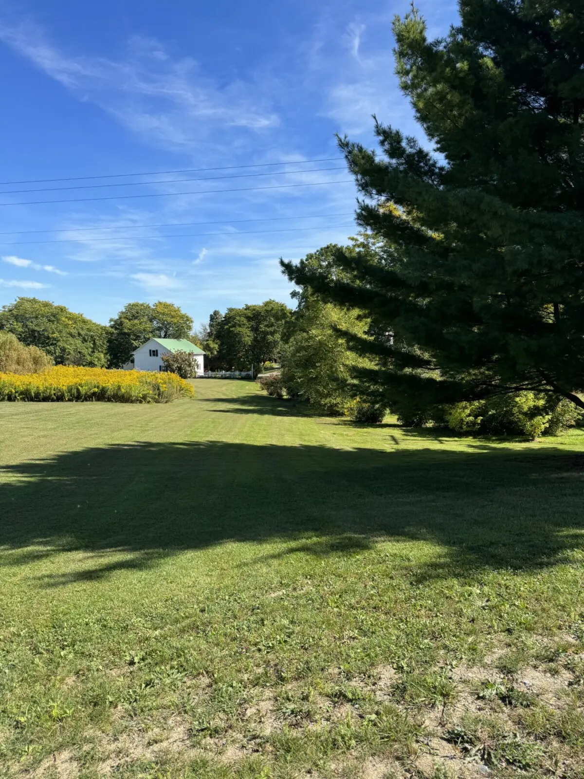 a52c53e8 977e 4623 927c e4023230a3b8