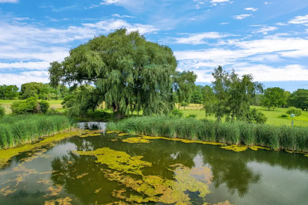 c45605eb 3d92 48e0 96d6 c32d0cb838fc