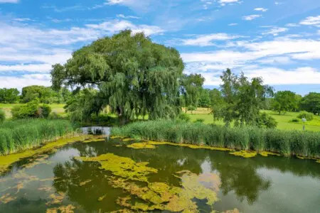 c45605eb 3d92 48e0 96d6 c32d0cb838fc