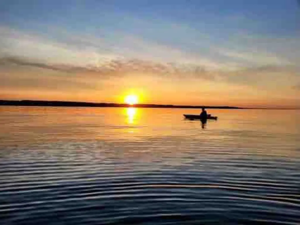 e2277c74 b440 4bb7 a006 d2213dcb697d