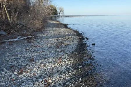 11586161 4ab6 4746 8759 b6cfe969884f