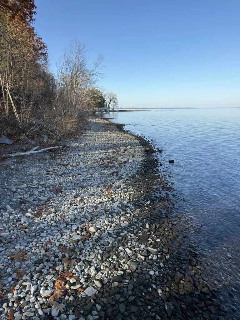 11586161 4ab6 4746 8759 b6cfe969884f