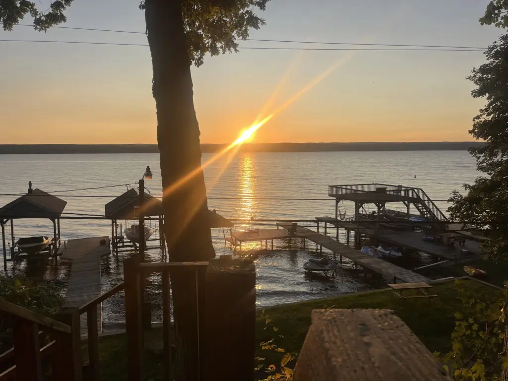 6fd334a9 7e94 40ea b437 bb8f25e75e2f