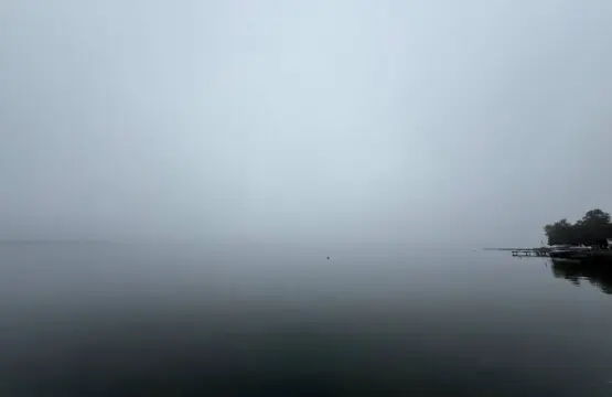 ed0bc112 0d29 4304 b9ad 8eac69c93a5a