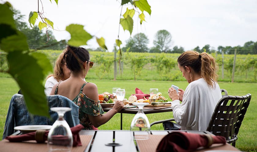couple of friends women enjoy wine food vew on vine near cayuga lake