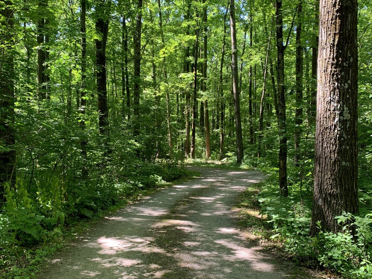 Finger Lakes National Forest